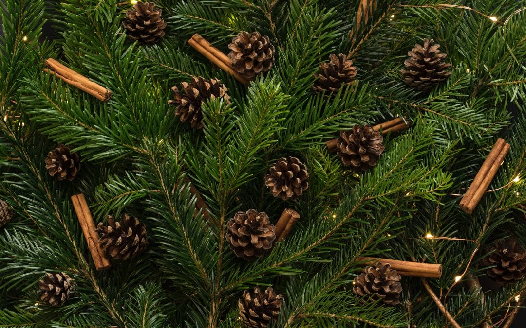 Dreaming of a green Christmas?