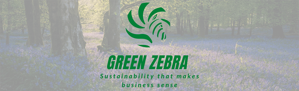 Introducing Green Zebra: Your new sustainable business partner
